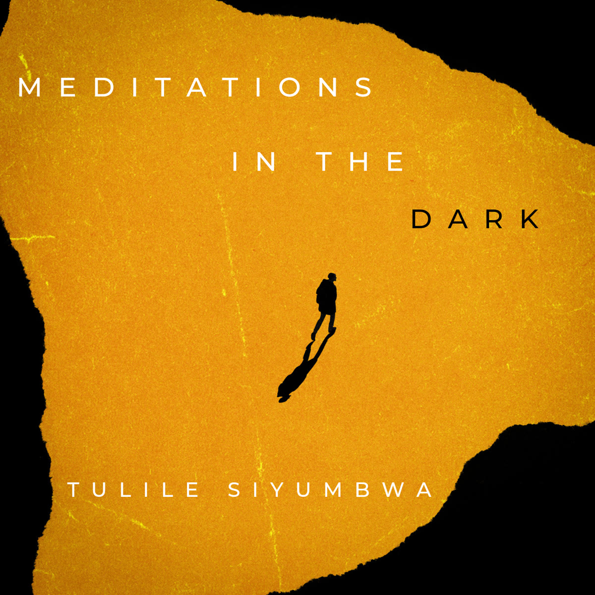Meditations In The Dark